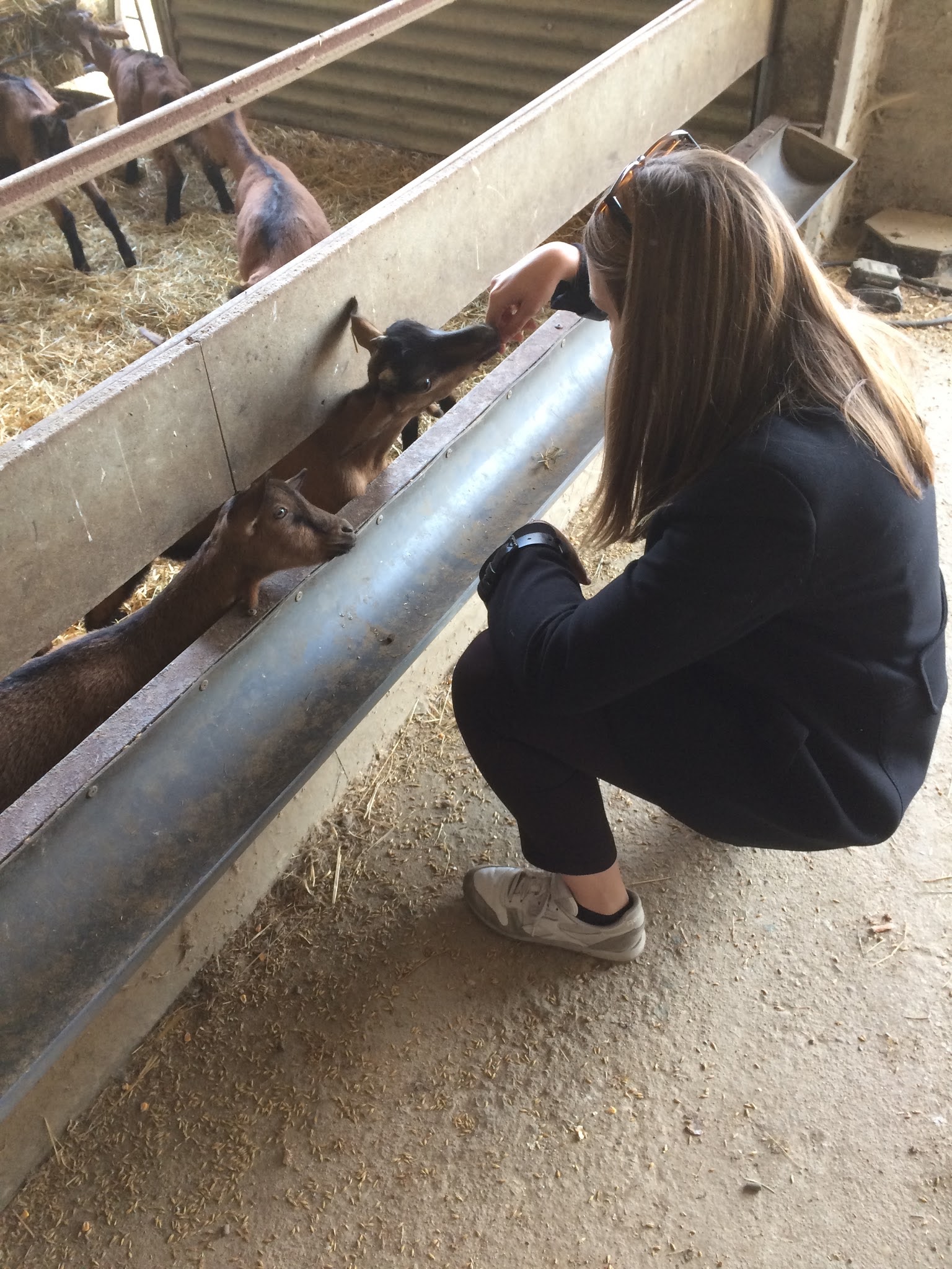 Photo n° 1 de l'avis de Gaëlle.e fait le 12/12/2017 à 16:02