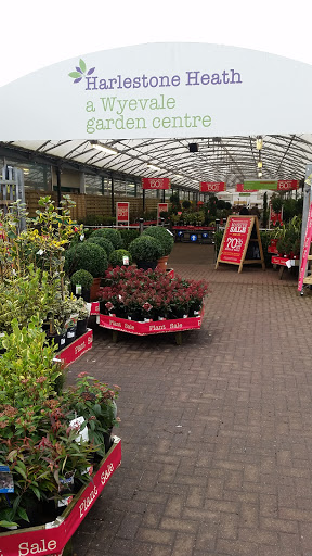 Dobbies Garden Centre Harlestone Heath