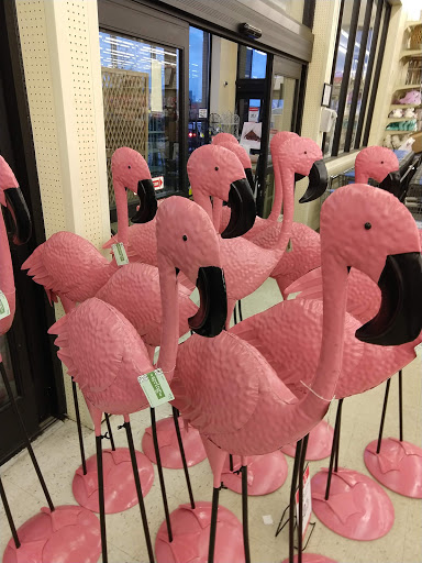 Craft Store «Hobby Lobby», reviews and photos, 2135 E Franklin Blvd, Gastonia, NC 28054, USA