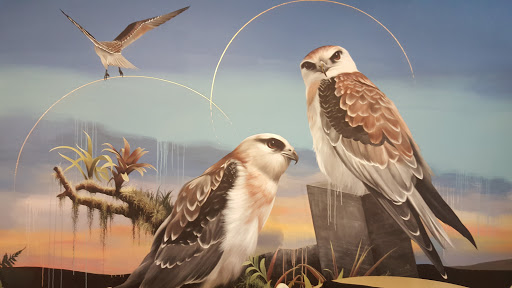 Art Museum «Worcester Art Museum», reviews and photos, 55 Salisbury St, Worcester, MA 01609, USA