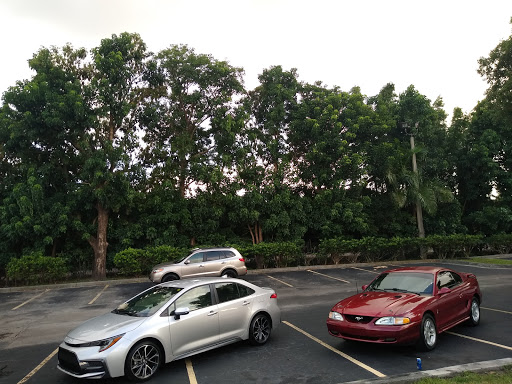 Auto Parts Store «NAPA Auto Parts - Genuine Parts Company», reviews and photos, 9250 NW 58th St, Doral, FL 33178, USA