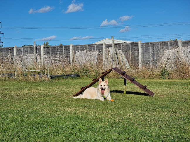 Comments and reviews of Puppy Paddocks (exclusive hire dog paddock)