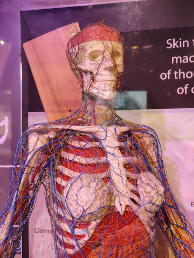 Museum «National Videogame Museum», reviews and photos, 8004 Dallas Pkwy, Frisco, TX 75034, USA