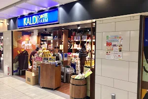 Kaldi Coffee Farm Grand Festa Himeji Store image