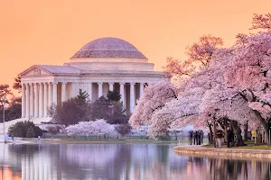 Custom Tours of DC - Private Tour Agency image