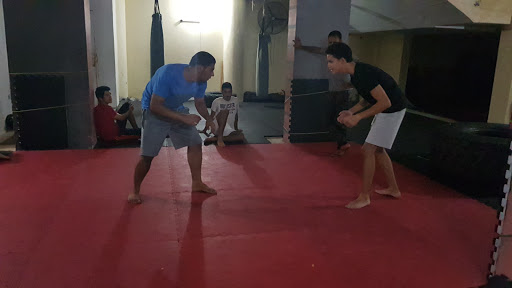 mma training