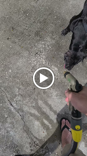 Check Cashing Service «Cash America Pawn», reviews and photos, 1530 S Missouri Ave, Clearwater, FL 33756, USA