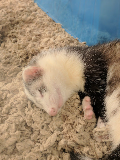 Pet Supply Store «Petco Animal Supplies», reviews and photos, 119 First St, Cambridge, MA 02141, USA