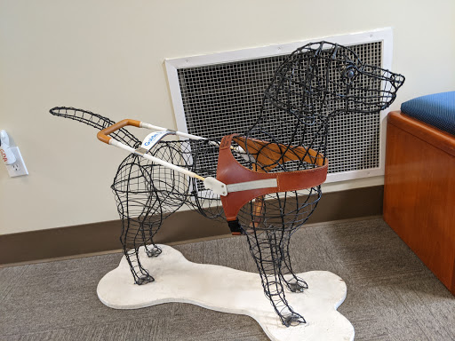 Training School «Guide Dogs For The Blind Inc», reviews and photos