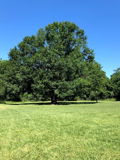 Nature Preserve «Spring Creek Greenway Nature Center», reviews and photos, 1300 Riley Fuzzel Rd, Spring, TX 77386, USA