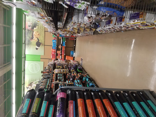 Pet Supply Store «Petco Animal Supplies», reviews and photos, 2519 E Expy 83, Mission, TX 78572, USA