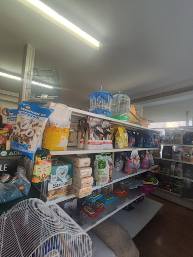 Peluqueria canina y complementos 