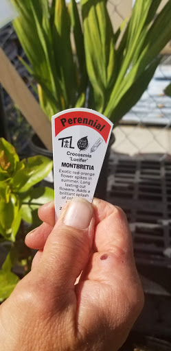 Hardware Store «Johnsons Home & Garden», reviews and photos, 26625 Maple Valley Black Diamond Rd SE, Maple Valley, WA 98038, USA