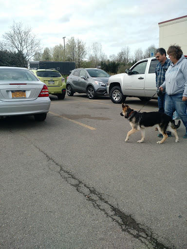 Pet Supply Store «PetSmart», reviews and photos, 279 E Fairmount Ave, Lakewood, NY 14750, USA
