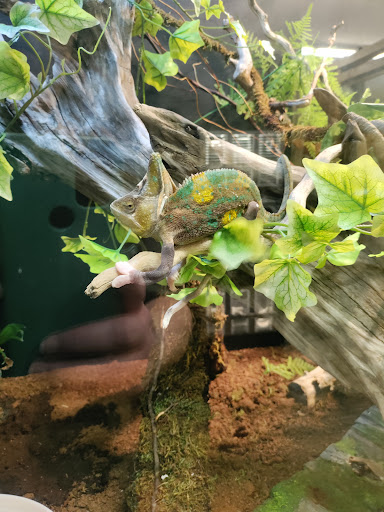 Zoo «Reptile Zoo», reviews and photos, 22715 US-2, Monroe, WA 98272, USA