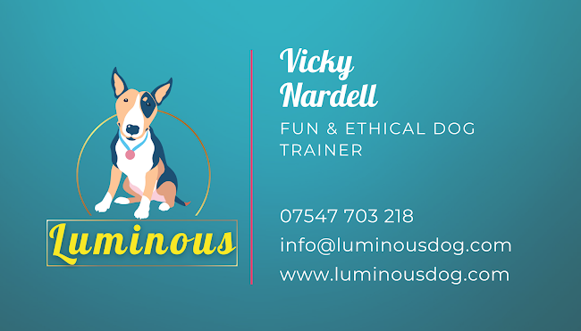 Luminous Dog Behaviour & Training - Bristol