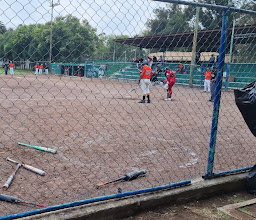 Baseball Stadium Fray Nano photo