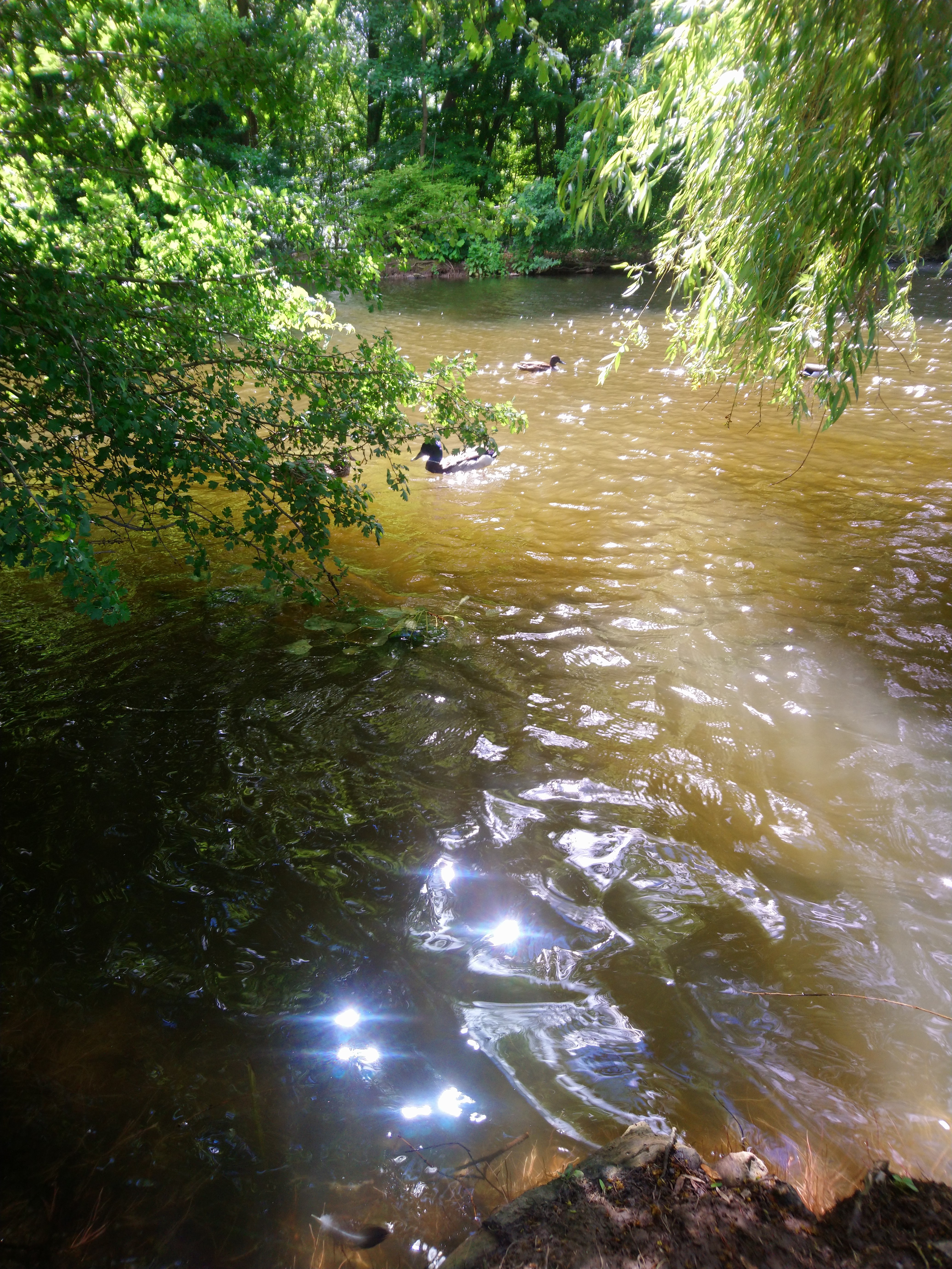 Photo n° 9 de l'avis de Lucien.e fait le 10/06/2019 à 14:26