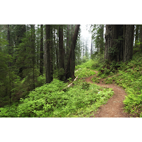 Law Offices of Thomas P. Kelly III - Photo 7 - Car repair in Santa Rosa, CA, Santa Rosa