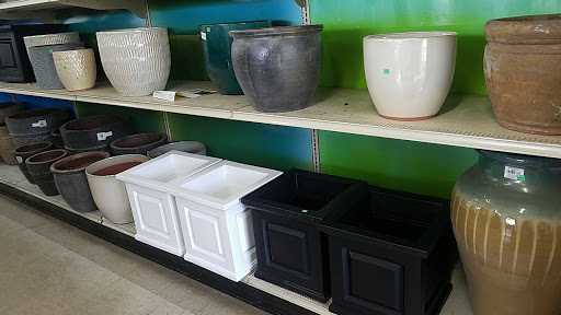 Garden Center «Westminster Nursery & Florist», reviews and photos, 30 Westminster Rd, West Hempstead, NY 11552, USA