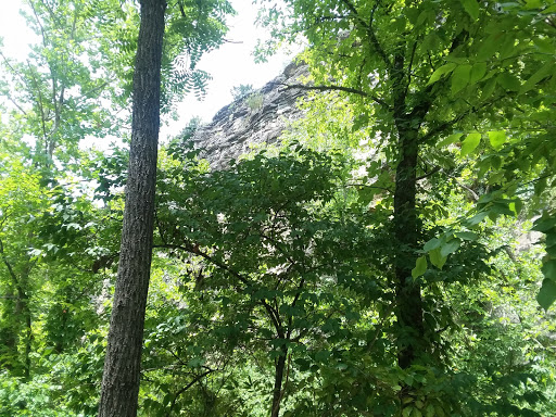 Tourist Attraction «Wabash Frisco & Pacific Railway», reviews and photos, 101 Grand Ave, Glencoe, MO 63038, USA