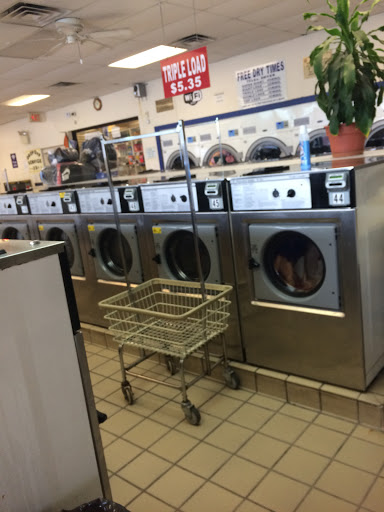 Daily Laundromat