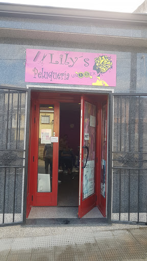 Lily's Peluquería Unisex en La Puebla de Montalbán, Toledo