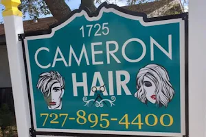 Cameron Hair image