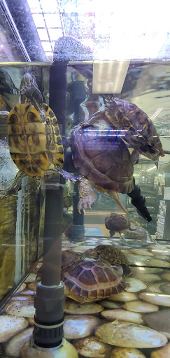 Pet Supply Store «Petco Animal Supplies», reviews and photos, 31090 Dyer St, Union City, CA 94587, USA