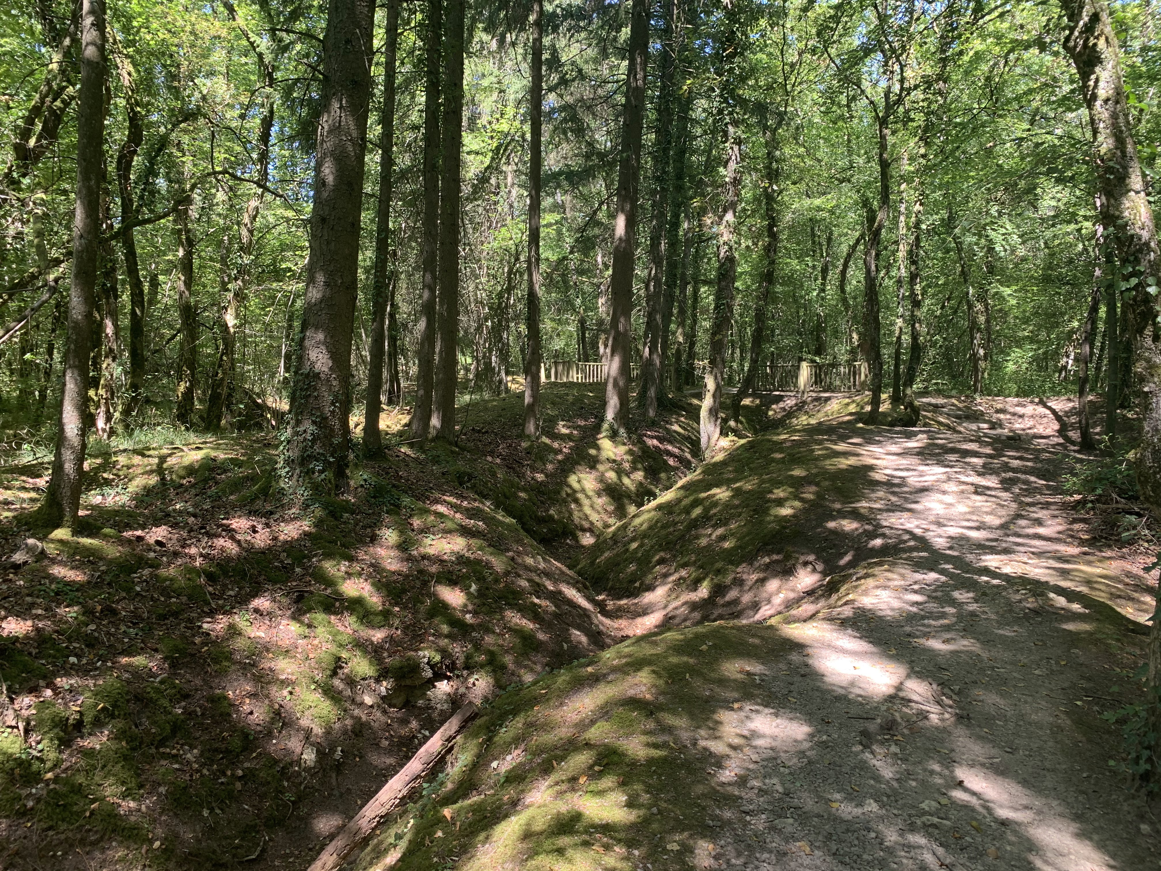 Photo n° 14 de l'avis de Ivo. fait le 18/08/2020 à 21:12