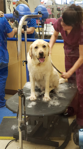 Pet Supply Store «Petsense Middlesboro», reviews and photos, 1875 N 25th St, Middlesboro, KY 40965, USA