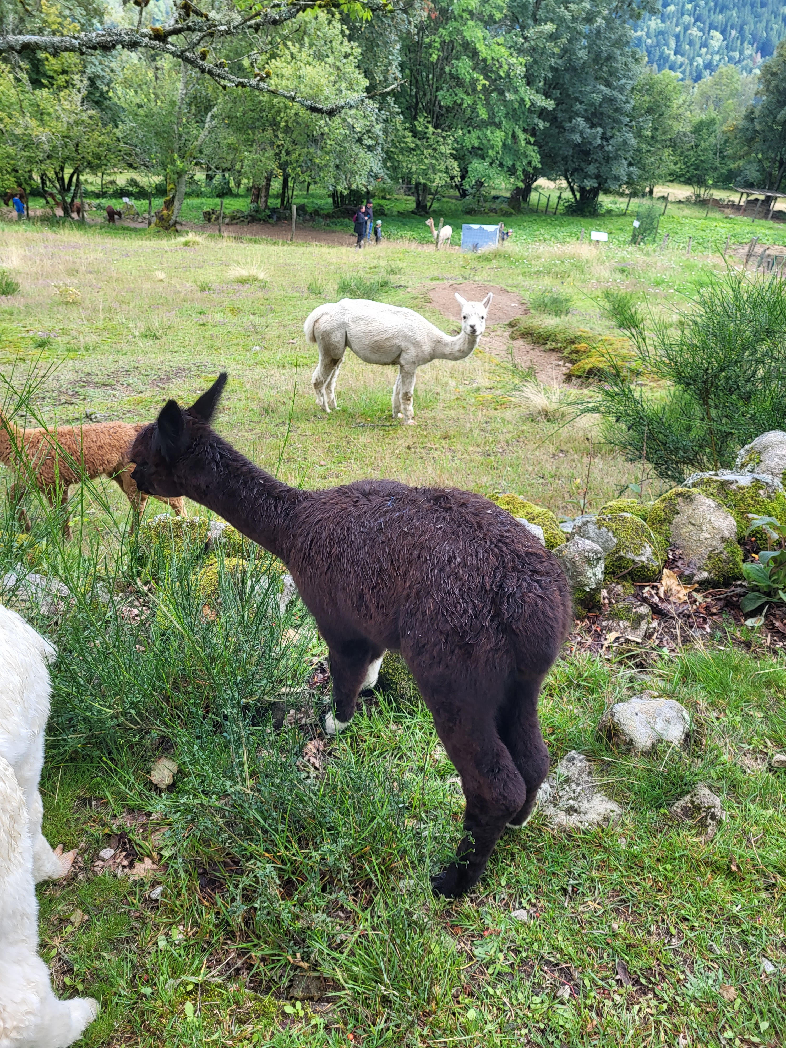 Photo n° 4 de l'avis de Audrey.e fait le 19/08/2023 à 17:42