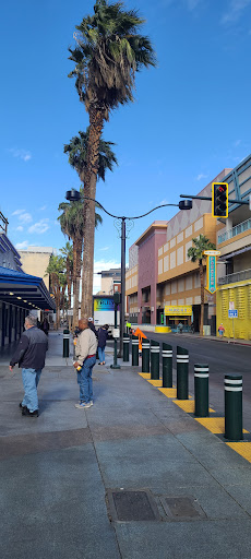 Tourist Attraction «SlotZilla Zip Line», reviews and photos, 425 Fremont St #160, Las Vegas, NV 89101, USA