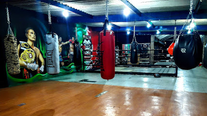 Nava Boxing - Laurel 18, San Pedro Mártir, Tlalpan, 14650 Ciudad de México, CDMX, Mexico