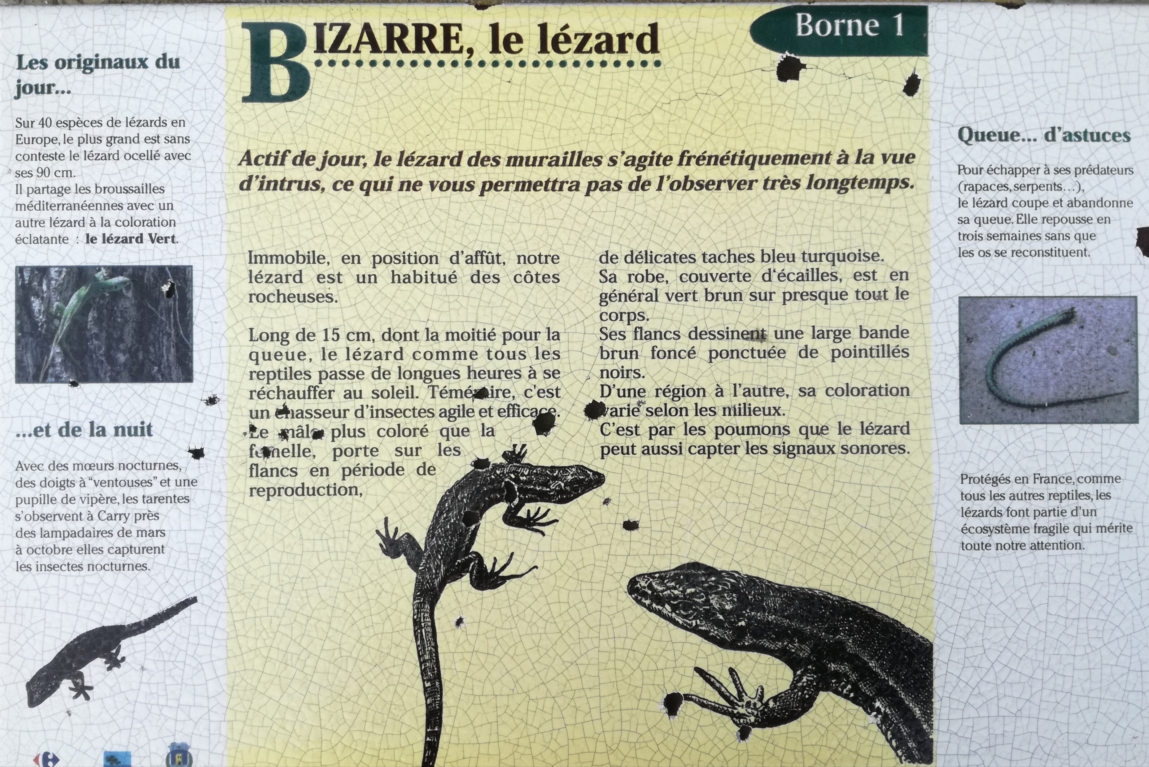 Photo n° 13 de l'avis de Jean-Pierre.a fait le 30/11/2019 à 18:08