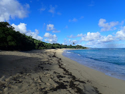 Shoys beach'in fotoğrafı vahşi alan
