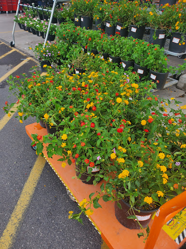 Home Improvement Store «The Home Depot», reviews and photos, 745 S Val Vista Dr, Gilbert, AZ 85296, USA