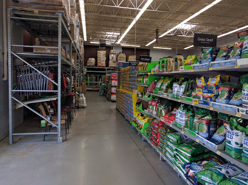 Photo Shop «Walmart Supercenter», reviews and photos, 18400 Hall Rd, Charter Twp of Clinton, MI 48038, USA