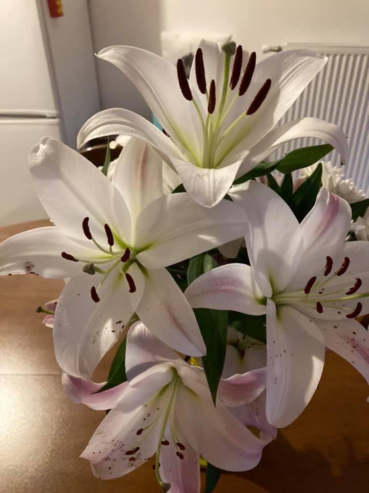 Photo n° 1 de l'avis de Anne-Sophie.A fait le 16/07/2020 à 18:06