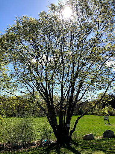 Park «Sweets Knoll State Park», reviews and photos, 1387 Somerset Ave, Dighton, MA 02715, USA