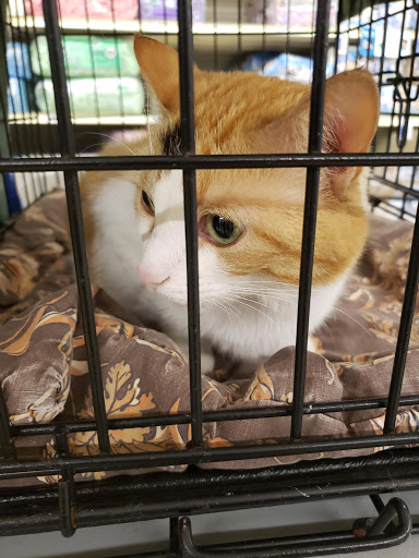 Pet Supply Store «PetSmart», reviews and photos, 367 Mt Hope Ave, Rockaway, NJ 07866, USA