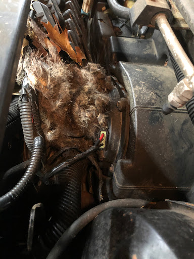 Auto Repair Shop «Anderson Auto Electrical», reviews and photos, 2091 S Main St, Waterbury, CT 06706, USA