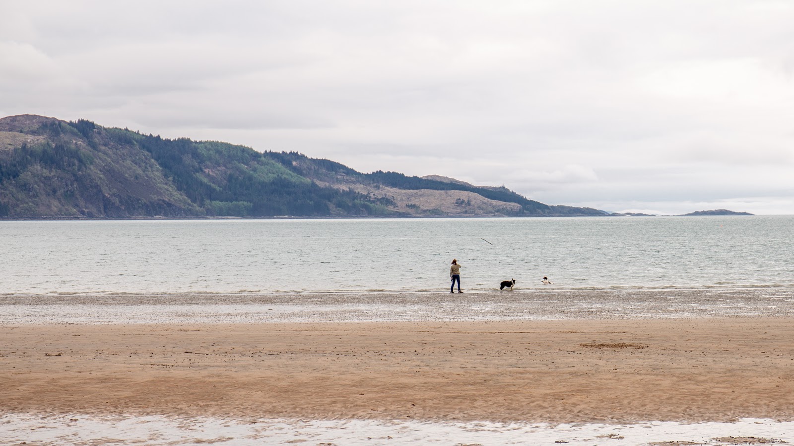 Glenelg Beach'in fotoğrafı çok temiz temizlik seviyesi ile