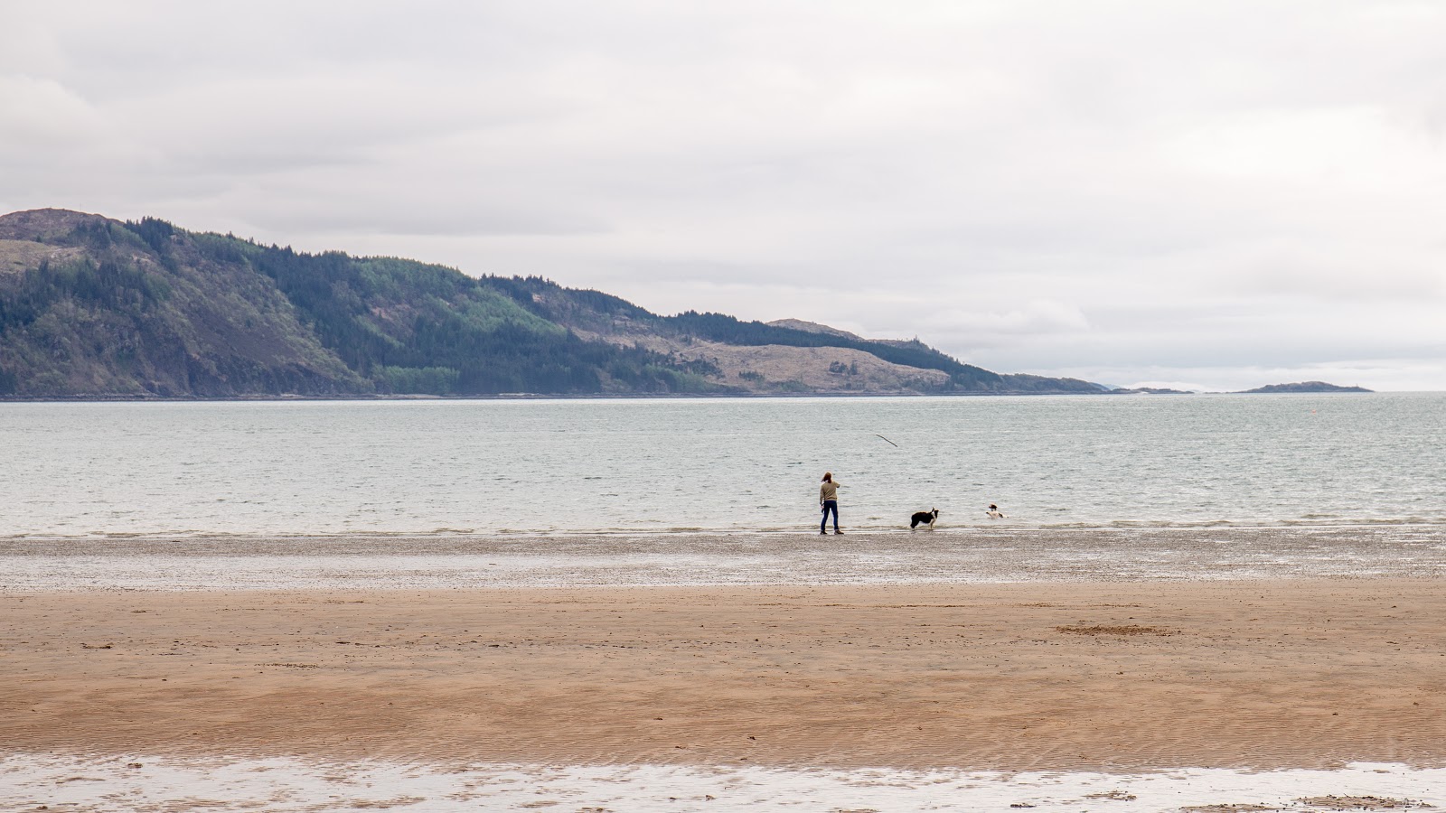 Foto av Glenelg Beach med rymlig strand