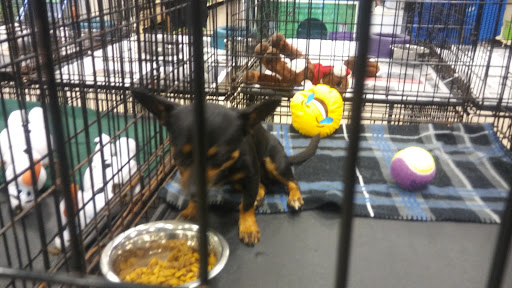 Pet Supply Store «PetSmart», reviews and photos, 5214 Blanche Moore Dr, Corpus Christi, TX 78411, USA