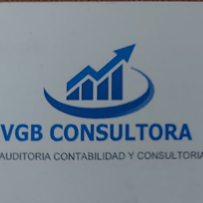 VGB CONSULTORA CONTABLE- AUDITORIA