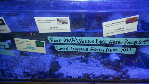 Tropical Fish Store «The Fish Store», reviews and photos, 2050 Chamblee Tucker Rd, Chamblee, GA 30341, USA