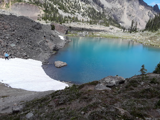 National Park «Olympic National Park», reviews and photos