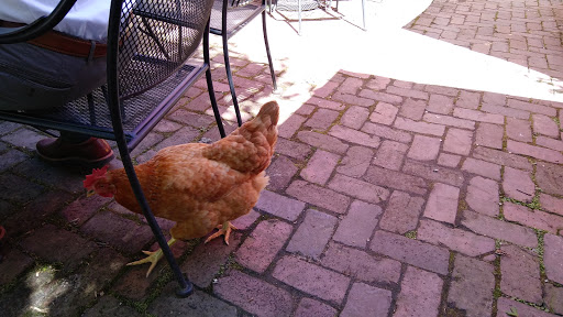 Barbecue Restaurant «Hubba Hubba Smokehouse», reviews and photos, 2724 Greenville Hwy, Flat Rock, NC 28731, USA