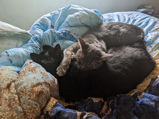 Pet Supply Store «Pet Supplies Plus», reviews and photos, 2033 28th St SW, Wyoming, MI 49519, USA